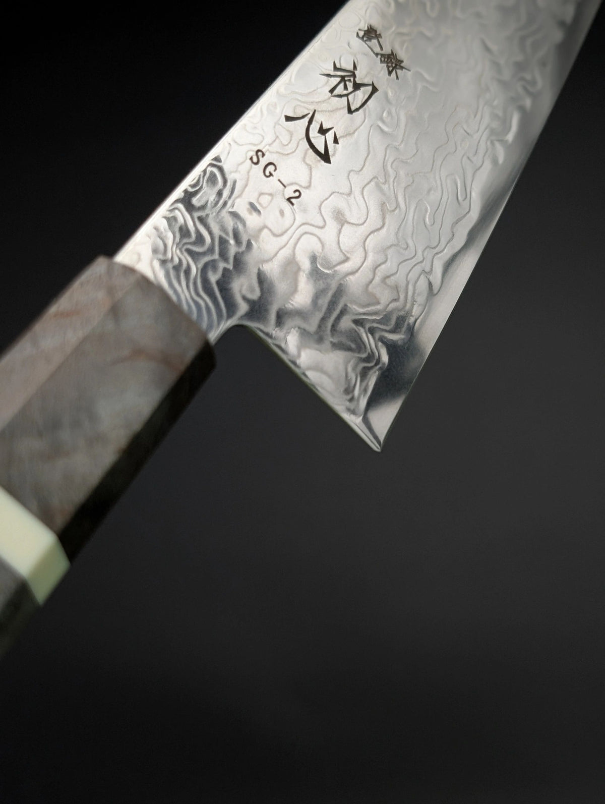 Hatsukokoro Ryuhyo SG2 Kiritsuke 210 mm Birch Handle (Polished Damascus)