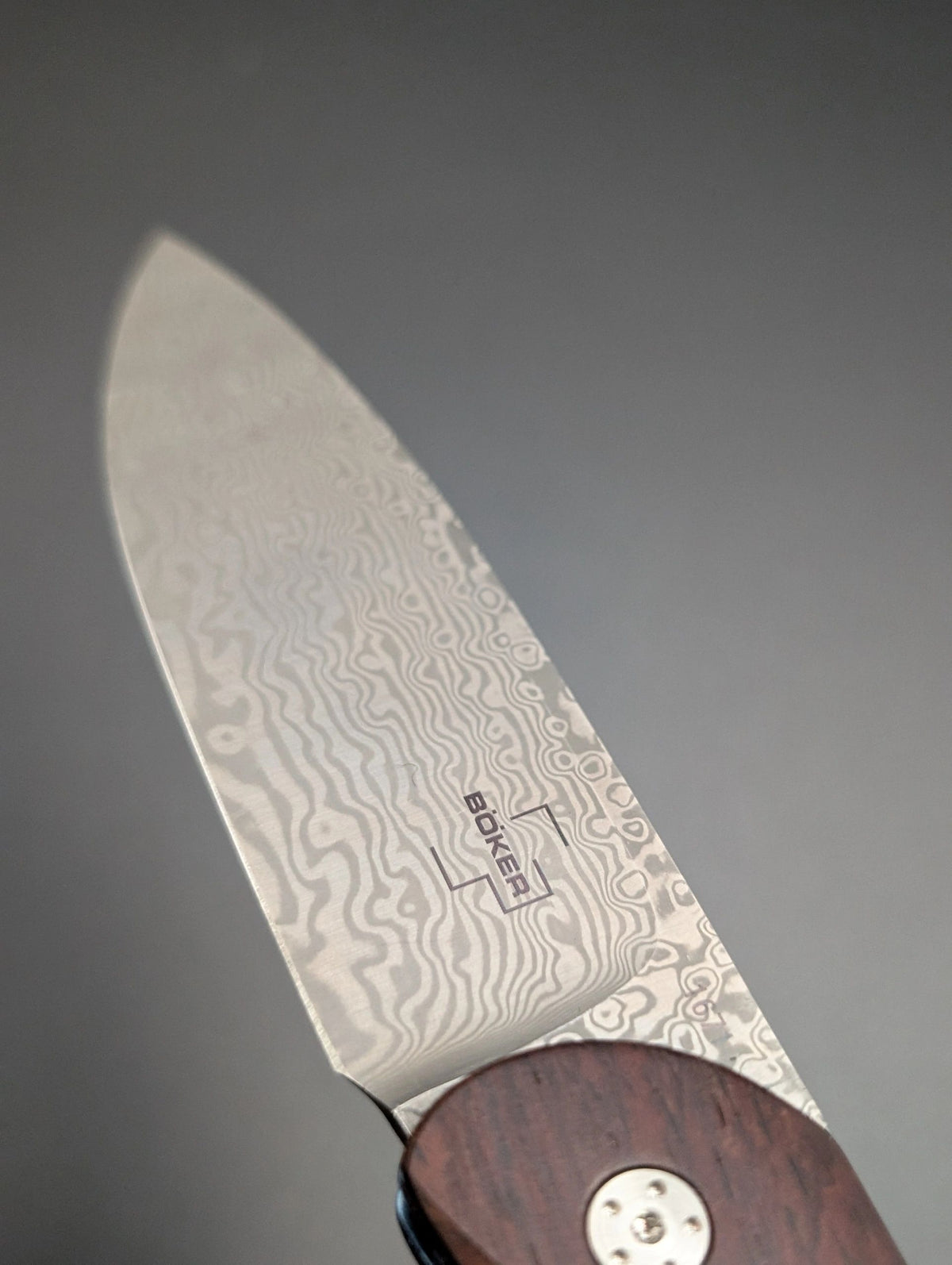 Böker Plus Exskelibur I Cocobolo Damascus