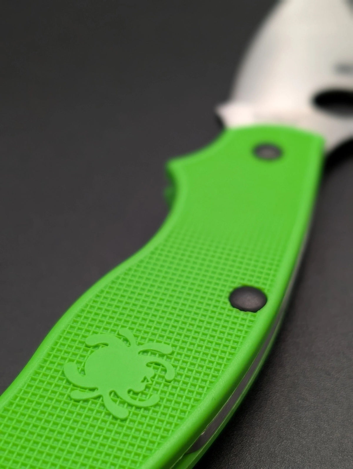Spyderco UK Pen Knife Salt Green LC200N PlainEdge