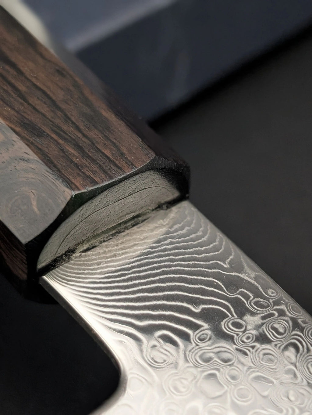 Sakai Kikumori OHS SG2 Damascus Kiritsuke Gyuto 210mm