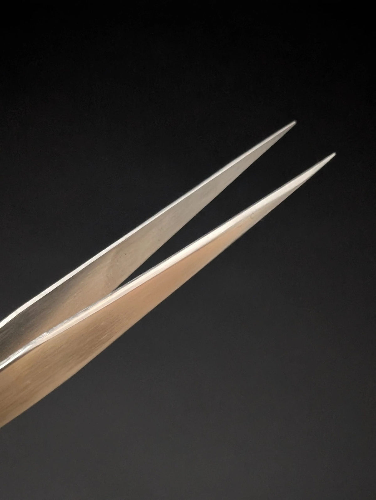Japanese Straight Soft Tweezers 150mm – Stainless Steel