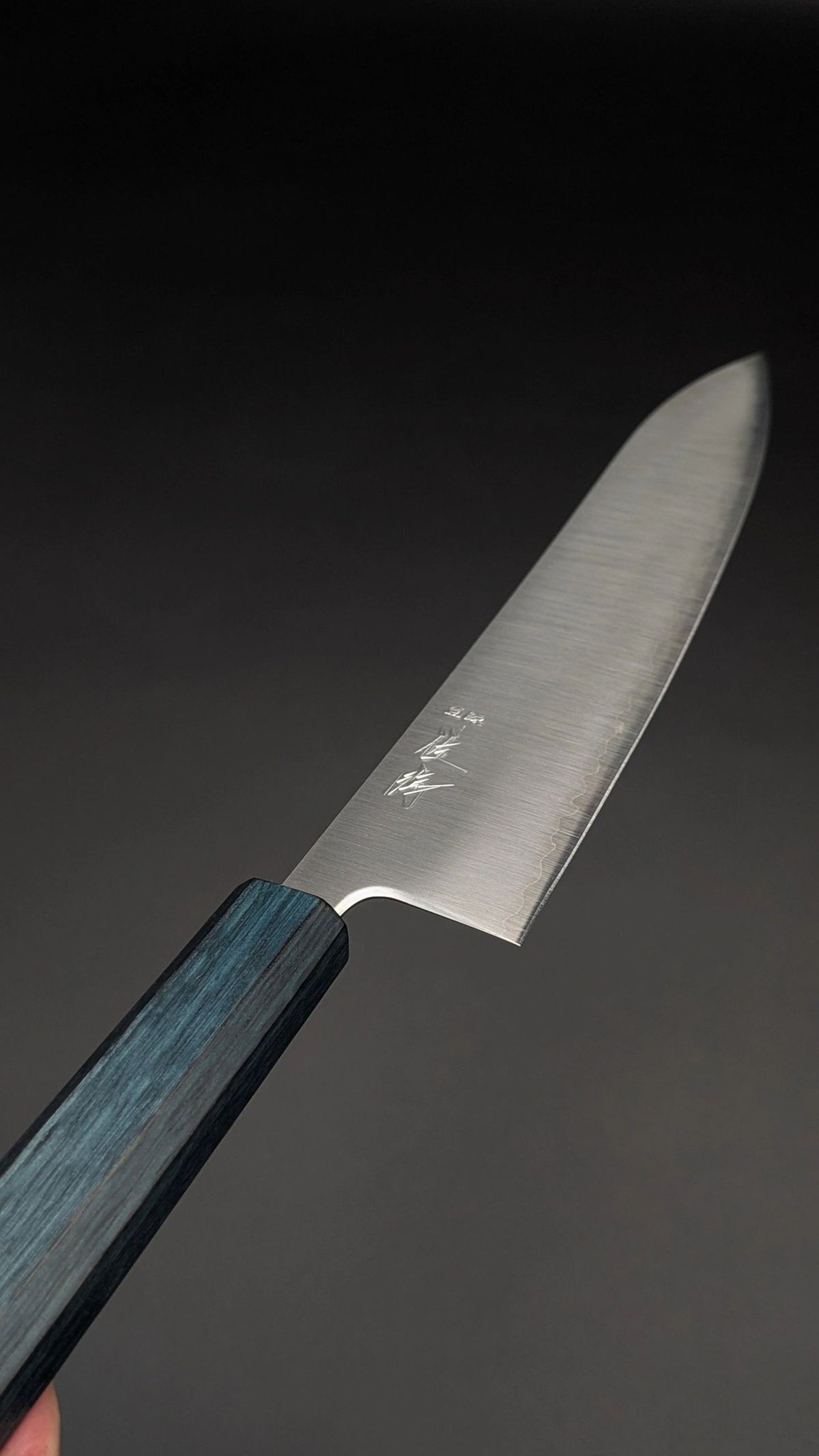 Touroku Sakai Aogami Super Gyuto 240mm – Green Pakka Handle