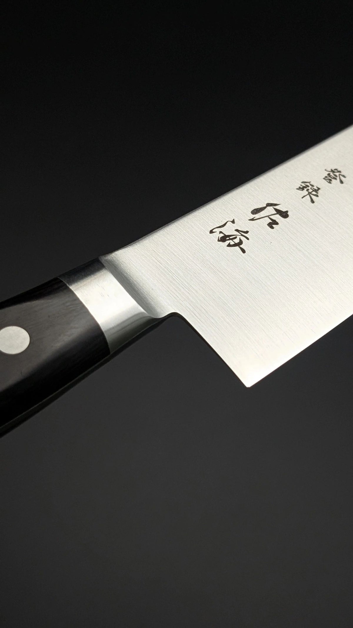 Touroku Sakai SG2 Gyuto 210mm – Pakka Wood Handle