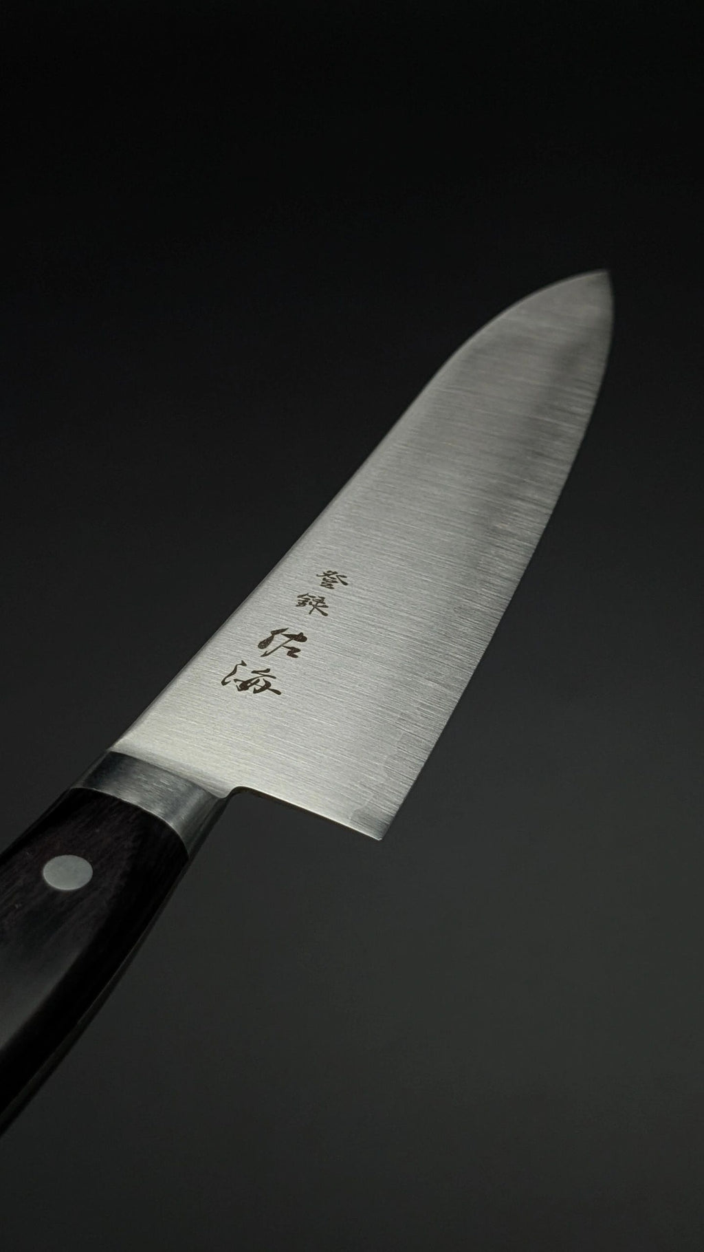 Touroku Sakai SG2 Gyuto 210mm – Pakka Wood Handle