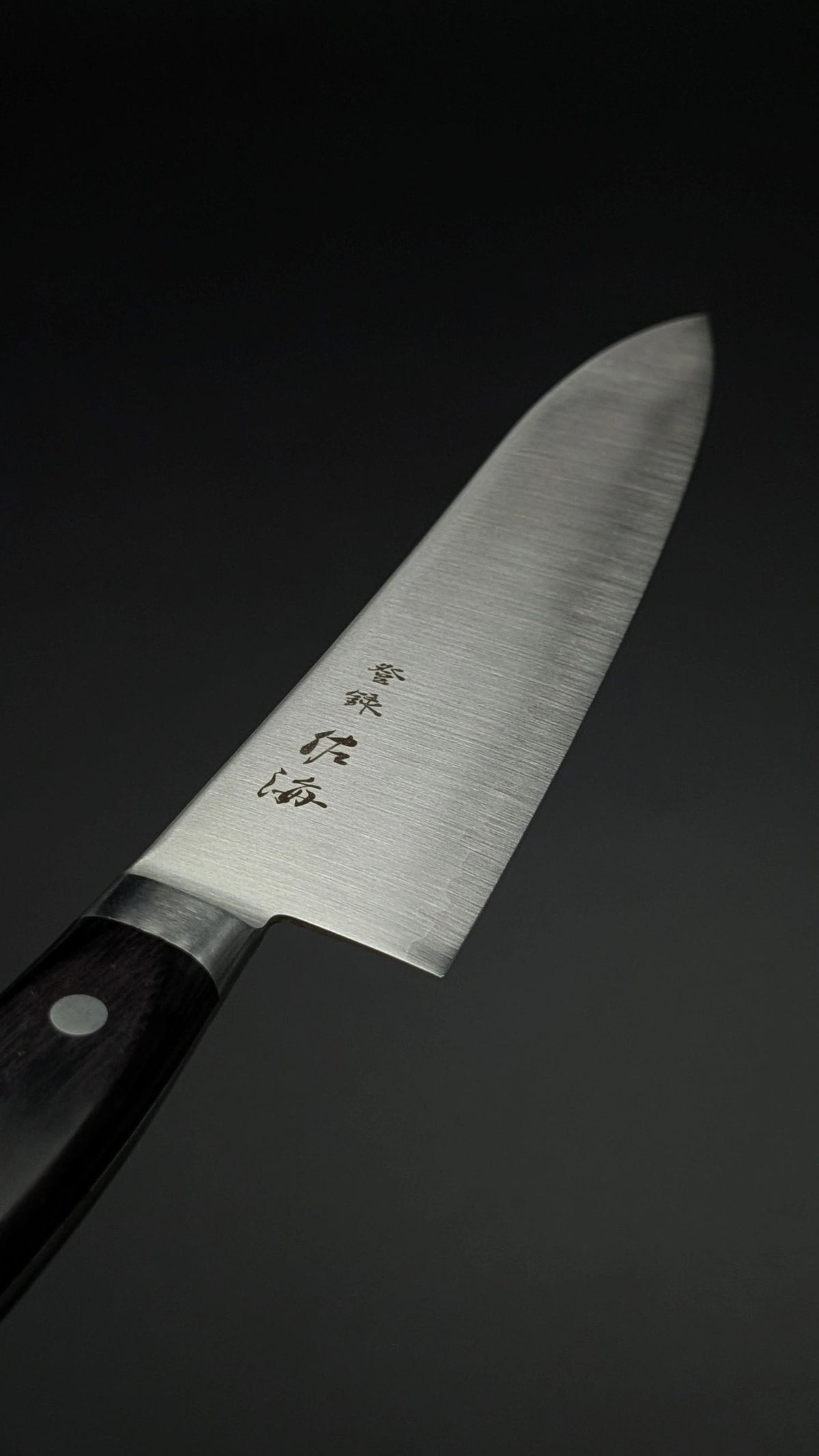Touroku Sakai SG2 Gyuto 210mm – Pakka Wood Handle