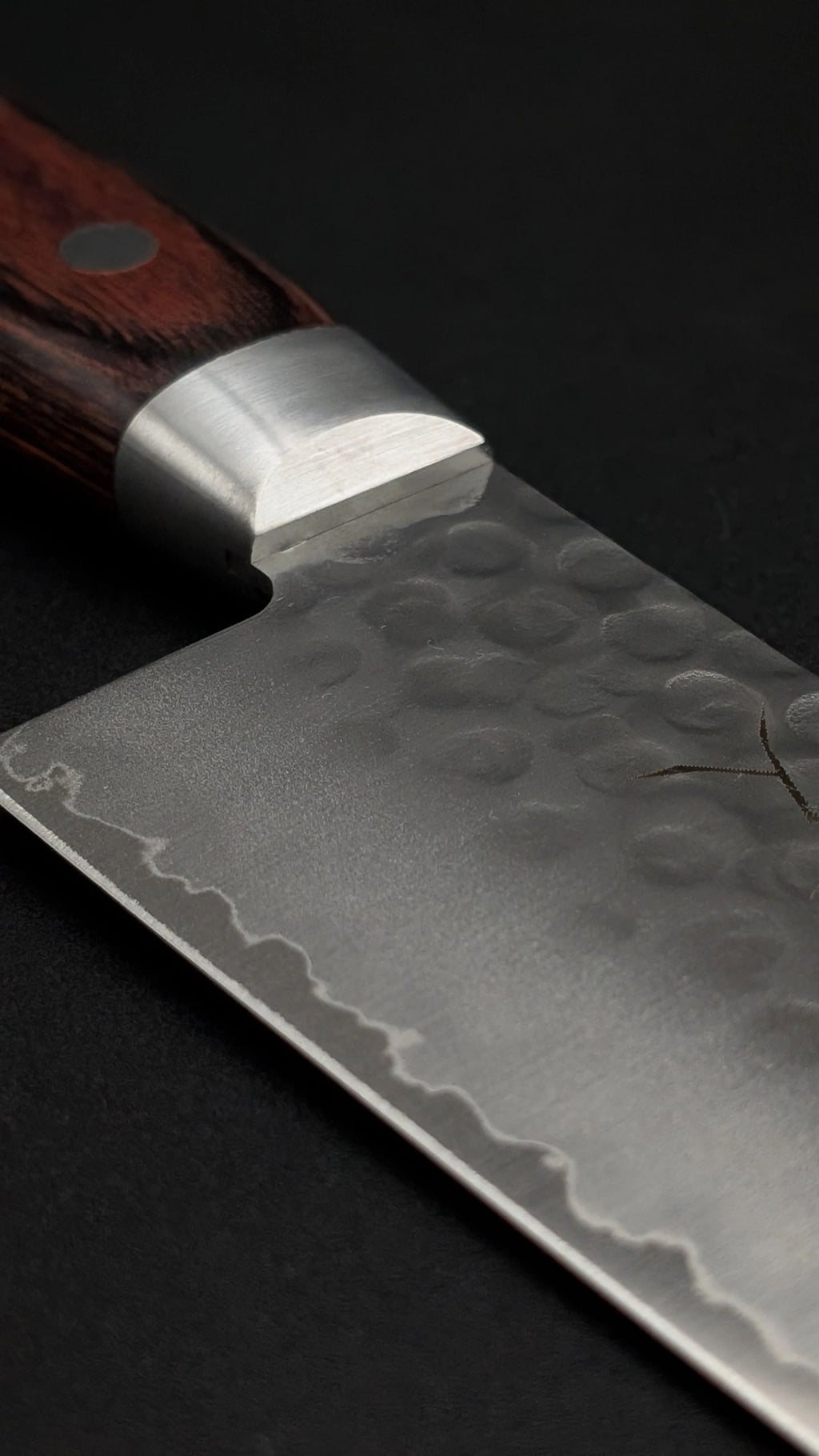 Tsunehisa VG10 Gyuto 210mm – Pakka Wood Handle