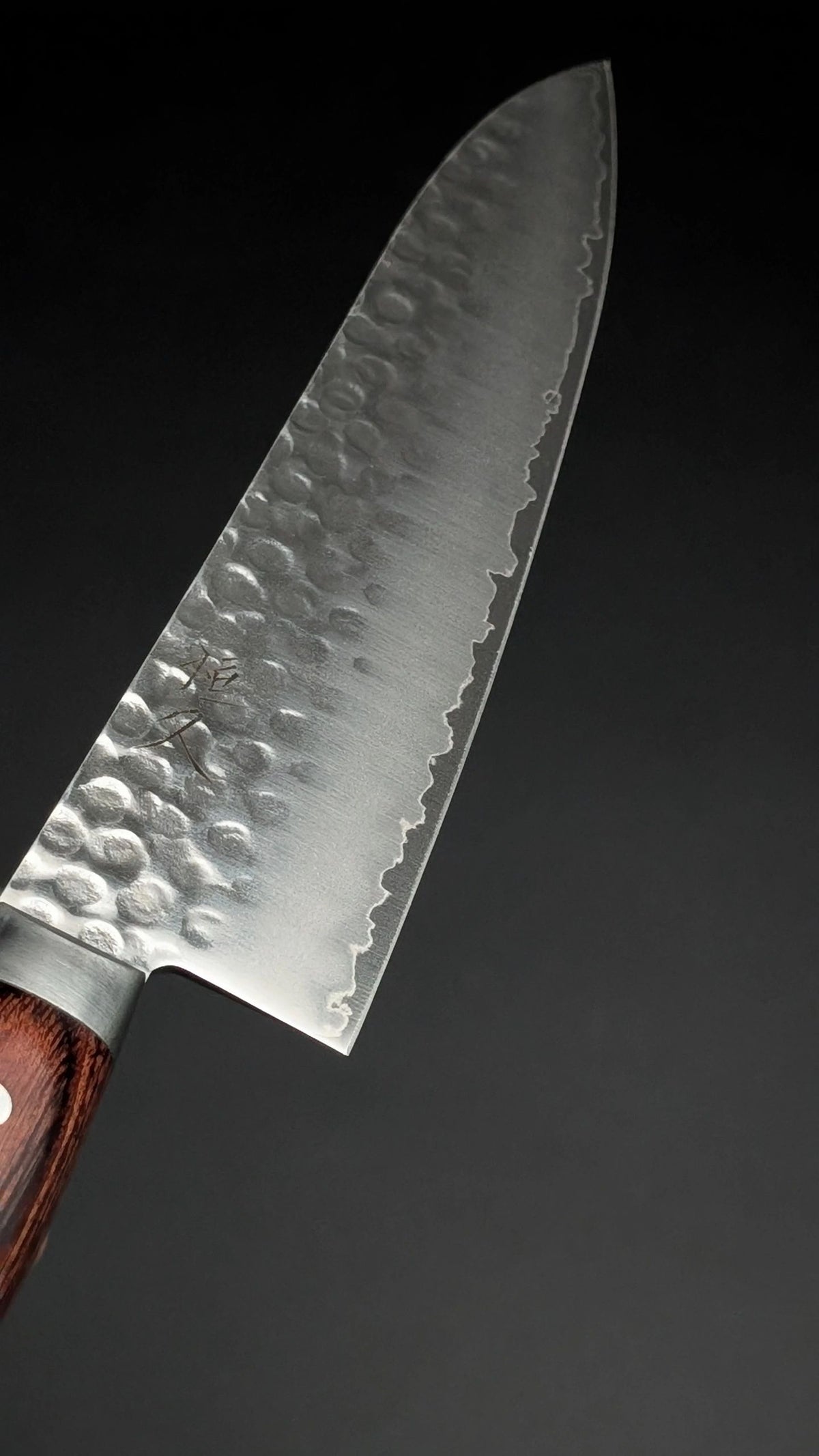 Tsunehisa VG10 Gyuto 210mm – Pakka Wood Handle